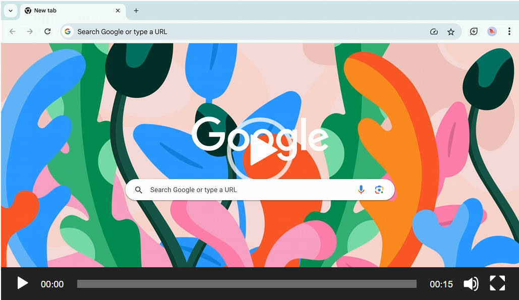 Chrome 浏览器