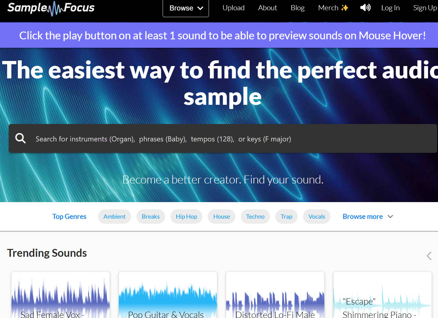 Sample Focus